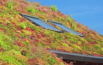 North Piddle living roof systems